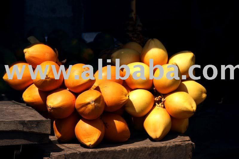  TENDER   COCONUT  WATER ,  YOUNG   COCONUT  WATER AND KING  COCONUT  WATER