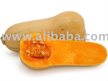 Organic Butternut Squash Juice Concentrate & Puree