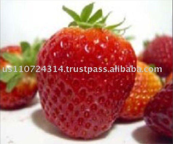 Strawberry  Juice Concentrate