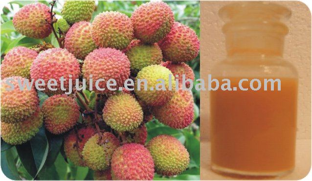  Lychee   Juice   concentrate 
