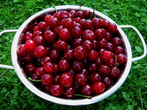 sourcherry concenteret