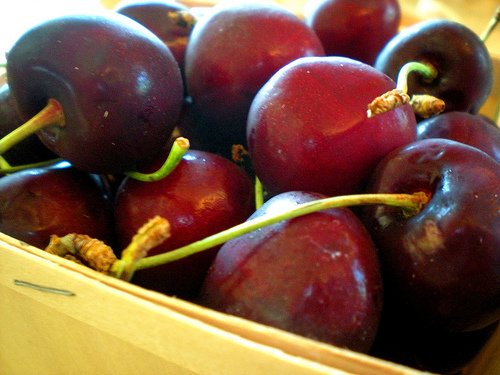 the best sourcherry concentrate