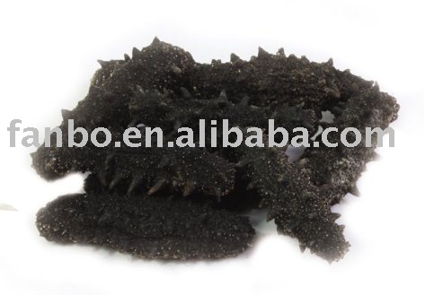 Dried Paracaudina Chilensis Var