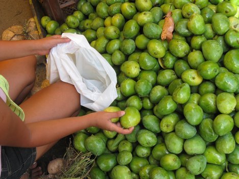 Mango Fruits
