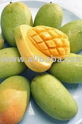 Golden Mango  Farm s Development Corp.