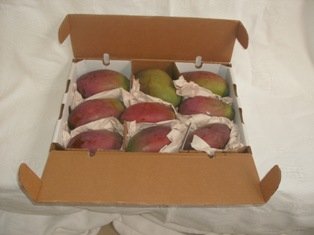 Fresh Mango