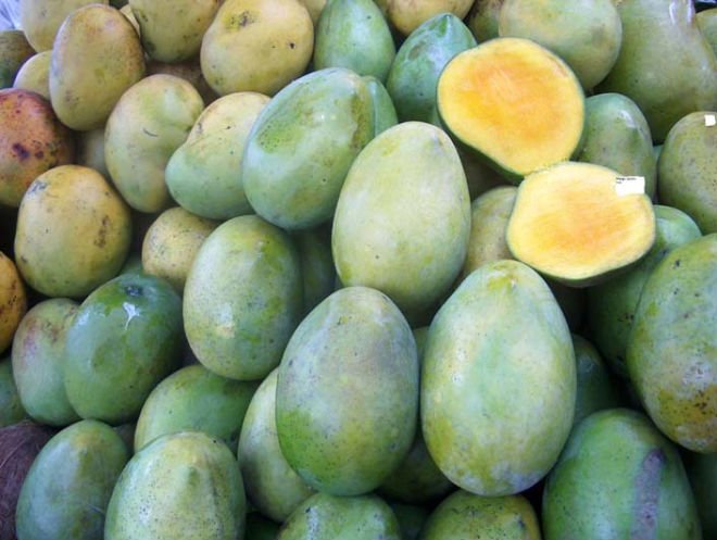 fresh mangoes products,Cameroon fresh mangoes supplier