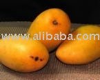 MANGO PULP