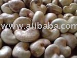 Raw Cashew Nuts (New Crop Harvest)