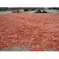 Prawn shells