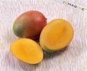  Apple   mango 