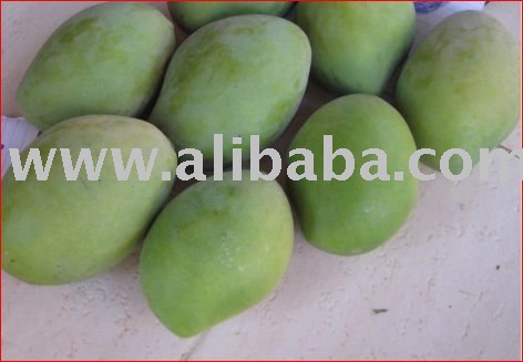 Zebdah (Kesar) Fresh Mango