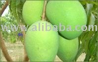 Fresh Organic Mangoes