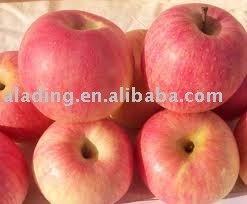 Apple Cider Vinegar Powder