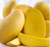 Fresh Mango