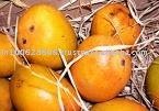  Fresh   Honey   Mangoes 