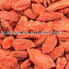 Wolfberry Fruit Juice Powder