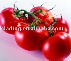 Tomato Juice Powder