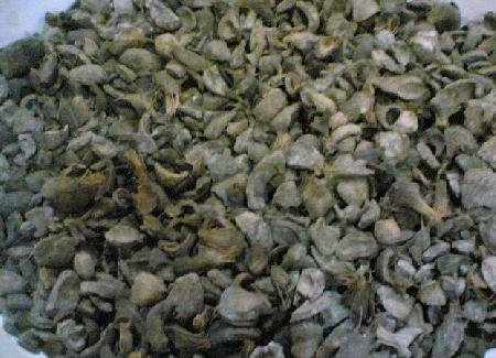 Palm Kernel Shell