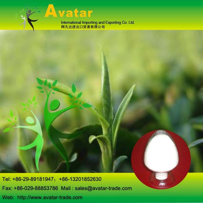 989-51-5 EGCG Powder Tea Extract Powder 95%/All Natural Plant Extract Powder