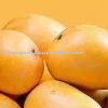 indian alphonso mango