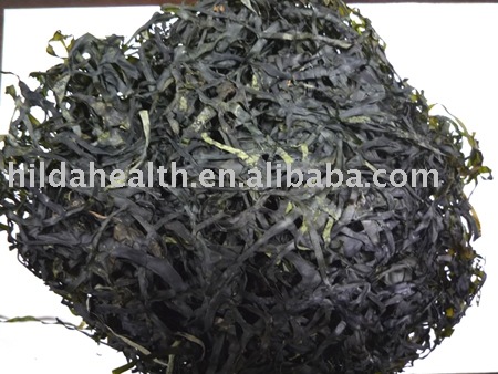 High swelling  dried   kelp   cut 