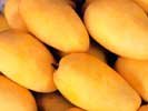 Pakistani Fresh Mango