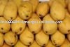 Indian Fresh Alphonso Mango