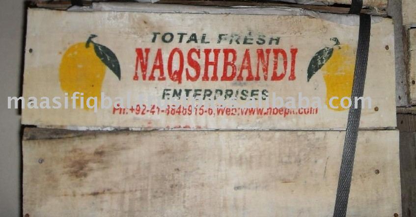 Green Chaunsa Mango in Popular Wooden box