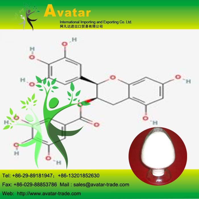 989-51-5 EGCG P.E. Tea Extract Powder 95%/All Natural Plant Extract Powder