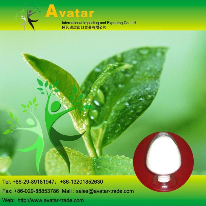 989-51-5 EGCG Tea Extract Powder 95%/All Natural Plant Extract Powder