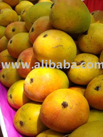 FRESH ALPHONSO MANGOES
