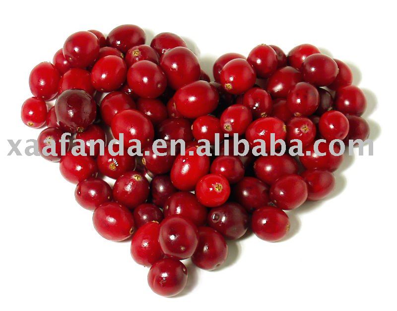 Cranberry Juice Powder
