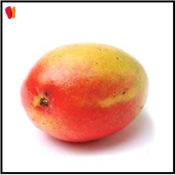 Mango Fruit - Tropical Alphonso