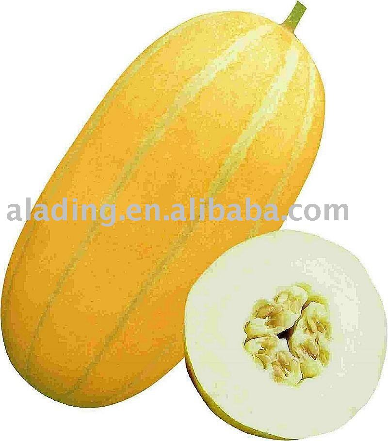  dried   melon  powder