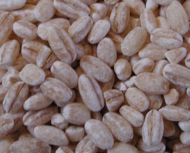 Raw, dried and cooked Barley Nuts