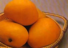 Sindhri Mangoes From Pakistan