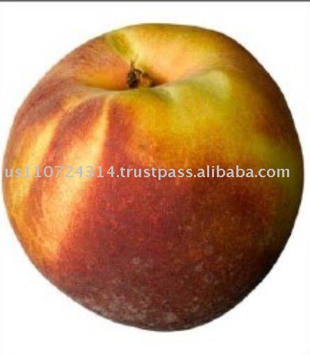  Yellow   Peach   Juice  Concentrate