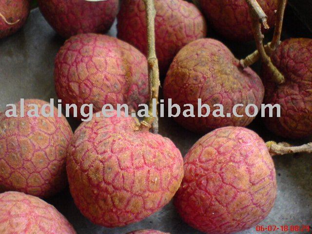  Litchi   extract 