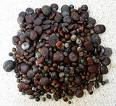 TALLOW NUTS