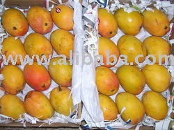 Fresh MANGOS