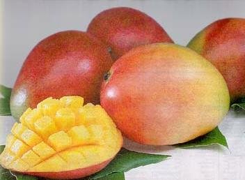 mangoes
