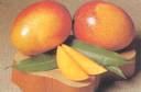 Egyptian Mango