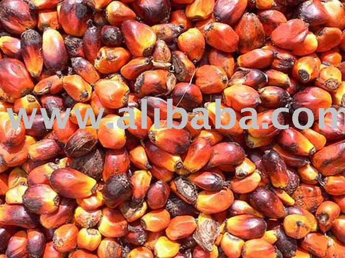 fresh-edible-and-crude-palm-oil-and-palm-kennels-cameroon-price