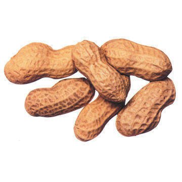 raw groundnuts for sale