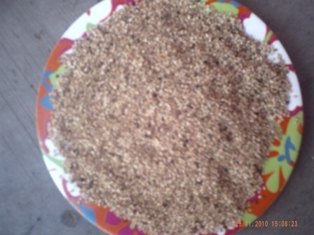 SESAME SEEDS