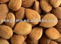  Organic   Apricot  kernel