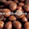 SHEA NUT