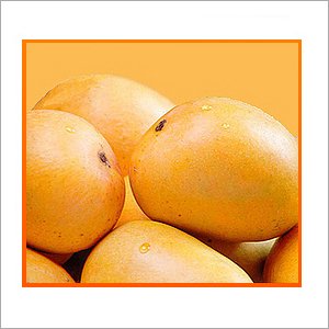 Alphonso Mango