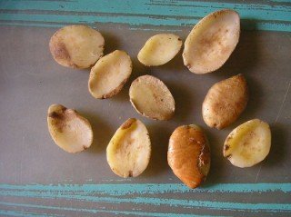 Ogbono Nuts (Irvingia),Cameroon price supplier - 21food